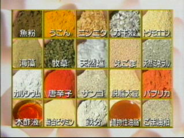 EskapeTV24.pic