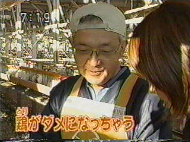 EskapeTV14.pic