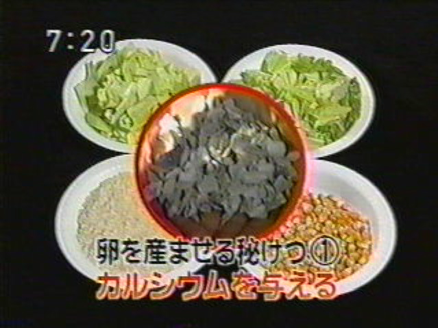 EskapeTV16.pic