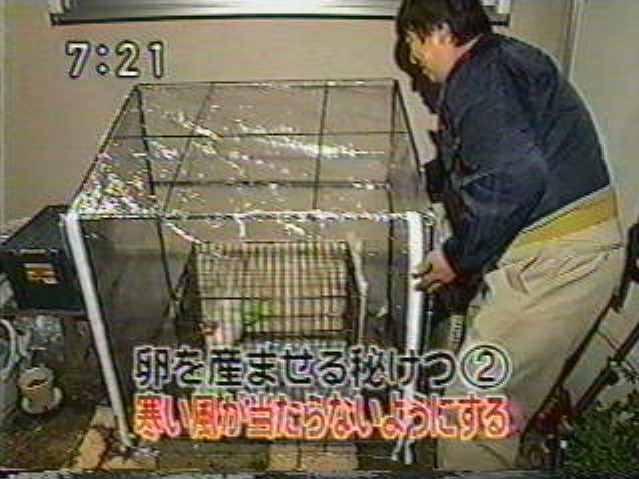 EskapeTV19.pic