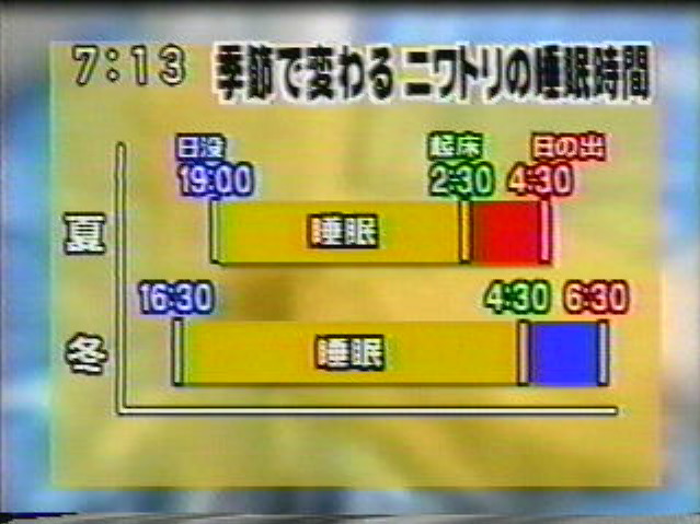EskapeTV08.pic