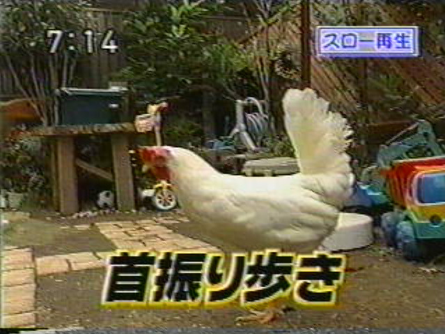 EskapeTV09.pic