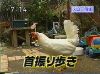 EskapeTV09.pic