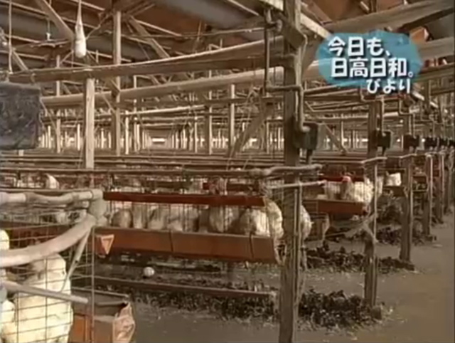 ピクチャ 10