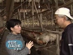ピクチャ 9