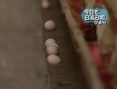 ピクチャ 9-21