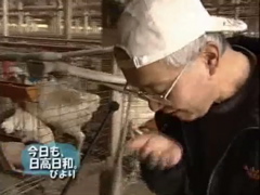 ピクチャ 11
