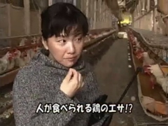 ピクチャ 12