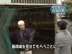 ピクチャ 6